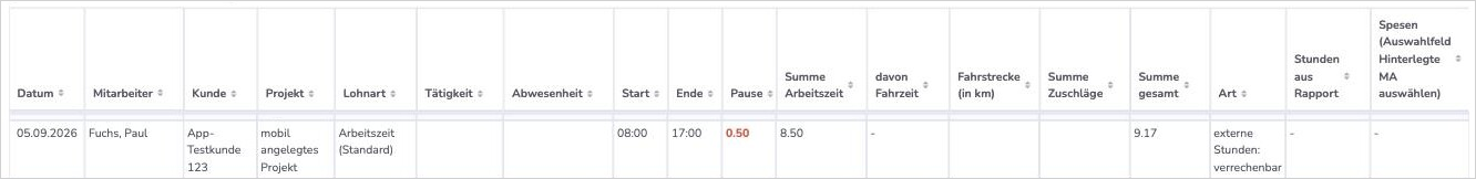 Stundenliste mit rot markierter Pause von 0.50 Stunden bei einer Gesamtzeit von 9.17 Stunden