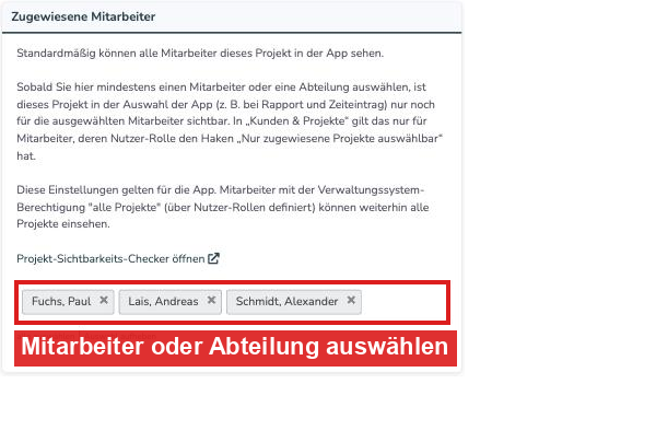Bereich Zugewiesene Mitarbeiter im Projekt