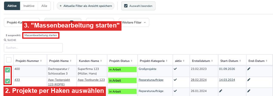 Ausgewählte Projekte und der Button Massenbearbeitung starten