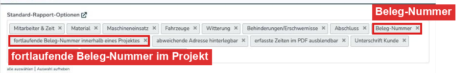 Standard-Rapport-Optionen mit Beleg-Nummer und fortlaufender Beleg-Nummer im Projekt