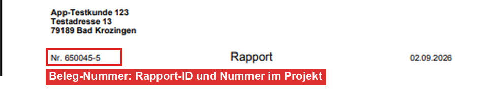 Rapport-PDF mit der Beleg-Nummer oben links