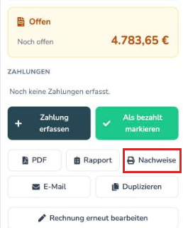 Rechnung mit dem Knopf Nachweise neben Rapport, rot markiert