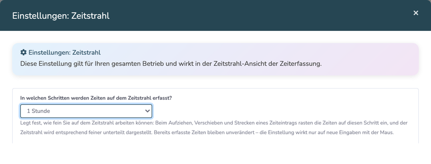 Fenster Einstellungen Zeitstrahl mit der Auswahl für das Eingaberaster